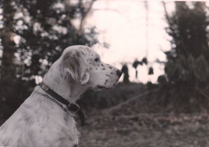 scan0022.tif